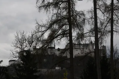 DSC_7030 (Large).JPG